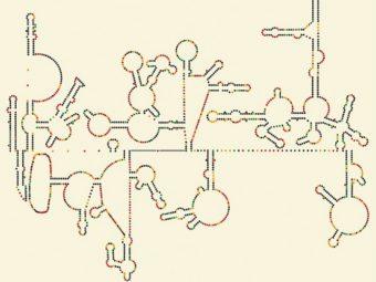 Пространственная структура РНК ВИЧ, иллюстрация авторов исследования с сайта wired.com