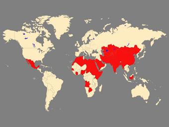 Страны, эндемичные по гепатиту Е. Схема с сайта microbiologybytes.com
