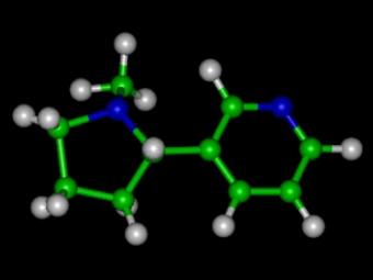 Структура молекулы никотина. Изображение с сайта wikimedia.org